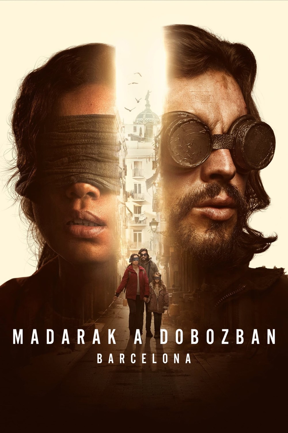 Madarak a dobozban